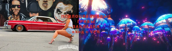 стафф Иннополис