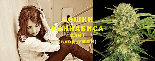 молекула духа Инта