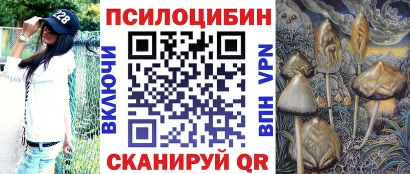 Псилоцибиновые грибы мицелий  Купить закладки  Валдай 